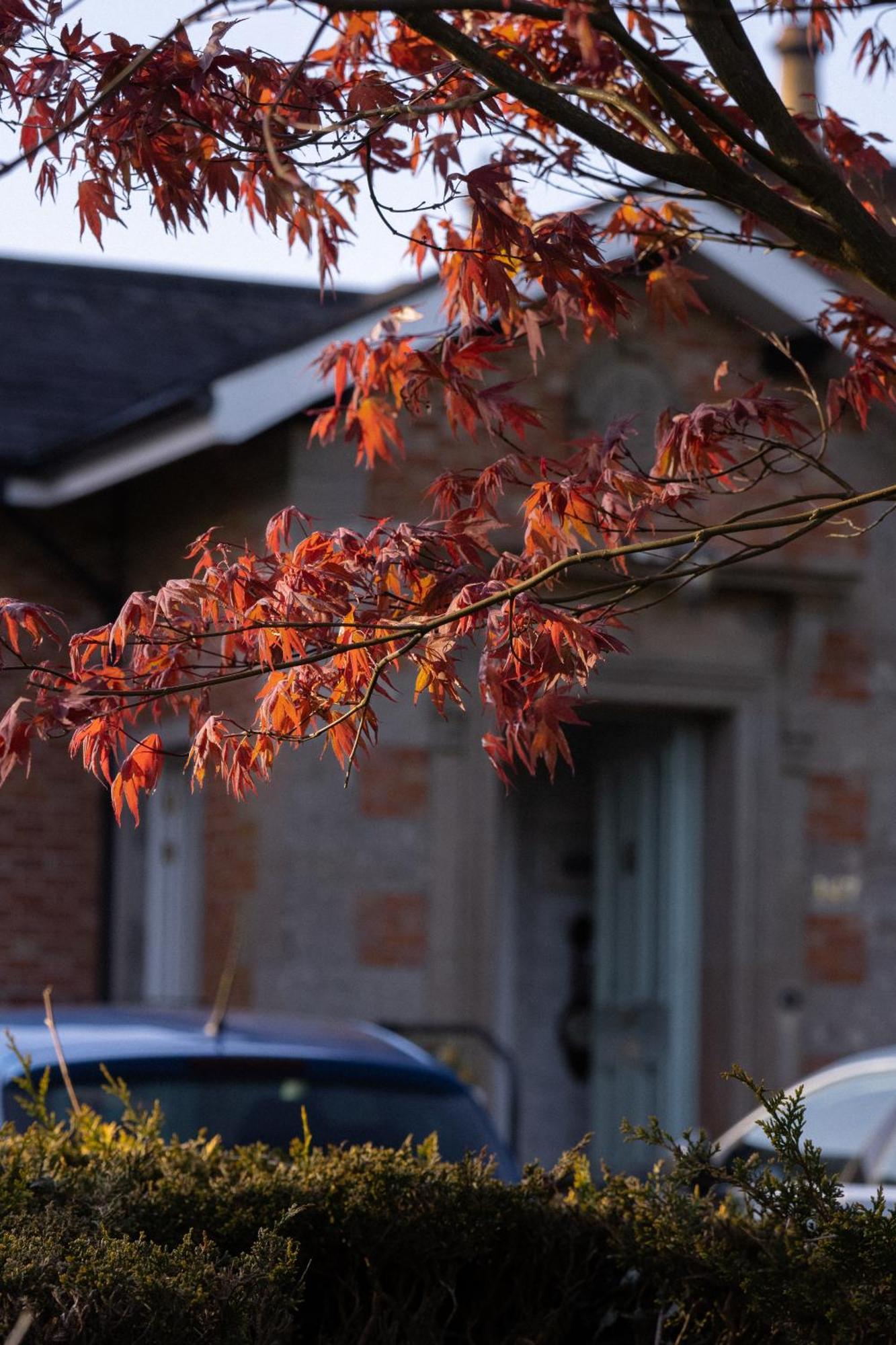 Oranmore Ballymena Zewnętrze zdjęcie